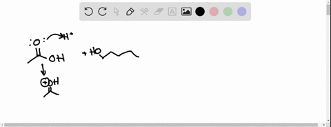 write-a-detailed-reaction-mechanism-for-the-formation-of-your-ester-product-acetic-acid-1-pentanol-please-show-all-the-arrows-51547