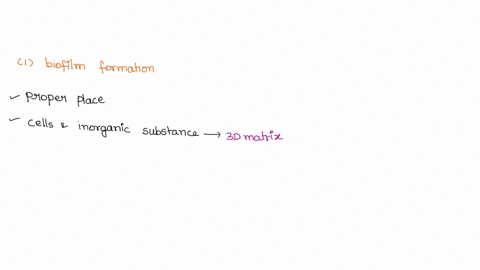 are-these-correct-if-not-which-is-the-correcta-nswer-my-answers-are-marked-in-bold-1-which-of-the-following-structures-favors-biofilm-formation-a-pilus-b-fimbria-c-fimbria-and-pilus-d-flagel-18889