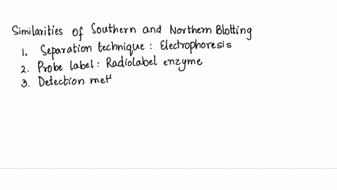 southern-blotting-is-a-method-used-in-molecular-biology-for-detection-of-a-specific-dna-sequence-in-dna-samples-while-northern-blotting-is-used-for-the-detection-of-rna-in-a-sample-write-dow-50289