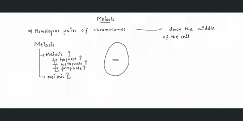 see-you-are-looking-through-microscope-at-cells-undergoing-meiosis-you-see-a-cell-that-has-homologous-pairs-of-chromosomes-lined-up-down-the-middle-of-the-cell-what-stage-is-this-cell-in-cho-76932