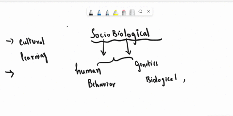 what-are-some-evolution-sociobiological-perspective-and-how-it-is-applicable-to-lifein-two-paragraphs-46928