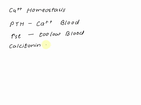 which-of-the-following-statements-about-calcium-homeostasis-is-false-point-pth-stimulates-calcium-uptake-by-bones-the-parathyroid-gland-secretes-pth-in-response-to-low-calcium-levels-the-thy-94501