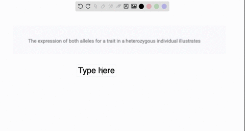 the-expression-of-both-alleles-for-a-trait-in-a-heterozygous-individual-illustrates-17076
