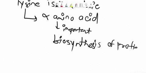 question-20-why-can-we-be-confident-that-lysine-is-non-toxic-65282