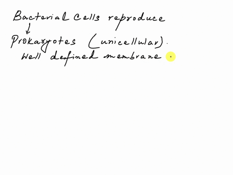 bacterial-cells-divide-by-a-process-known-as-a-mitosis-b-cytokinesis-c-meiosis-d-binary-fission-e-gl-04456