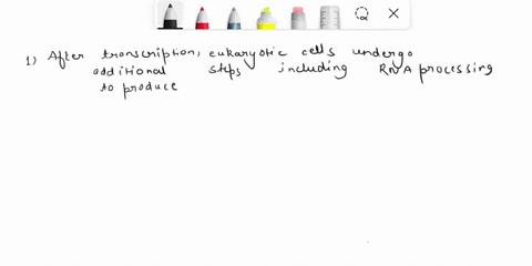 1-explain-the-additional-steps-that-occur-after-transcription-before-translation-in-eukaryotic-cells-2-use-the-template-strand-of-dna-to-form-an-rna-molecule-transcription-3-taccgttaggatatc-73023