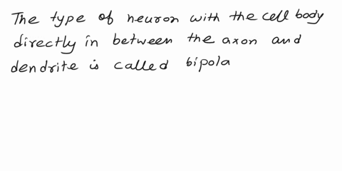 what-type-of-neuron-has-the-cell-body-directly-in-between-the-axon-and-the-dendrite-unipolar-neuron-multipolar-neuron-bipolar-neuron-secondary-neuron-pseudounipolar-neuron-91768