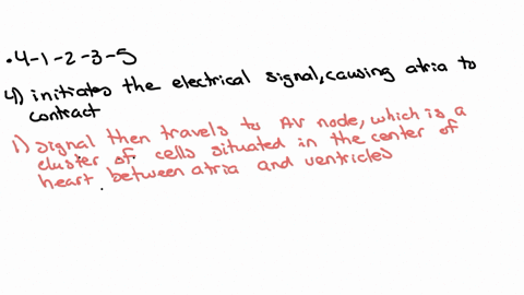 usten-put-these-parts-of-the-electrical-conducting-system-of-the-heart-in-the-correct-order-for-conduction-of-the-cardiac-impulse-1-atrioventricular-node-2-atrioventricular-av-bundle-bundle-of-his-3-l