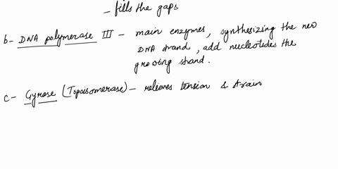 describe-the-role-of-each-of-the-following-in-dna-replication-a-dna-polymerase-i-b-dna-polymerase-iii-c-gyrase-topoisomerase-d-helicase-e-initiator-protein-origin-recognition-complex-f-ligas-75095