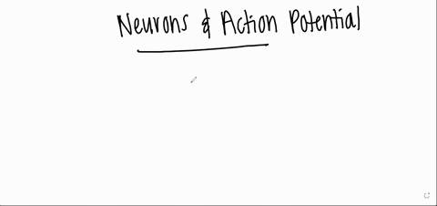 a-particular-electrical-signal-being-transmitted-to-a-neuron-is-sufficient-to-generate-an-action-potential-if-the-magnitude-of-the-incoming-electrical-signal-is-doubled-the-action-potential-20564