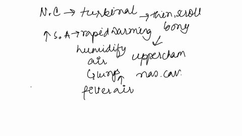 according-to-the-respiratory-system-video-in-unit-5what-are-the-three-functions-of-the-nasal-conchae-1-point-for-one-correct-2-points-for-all-three-correct-what-is-the-function-of-the-epiglo-57626
