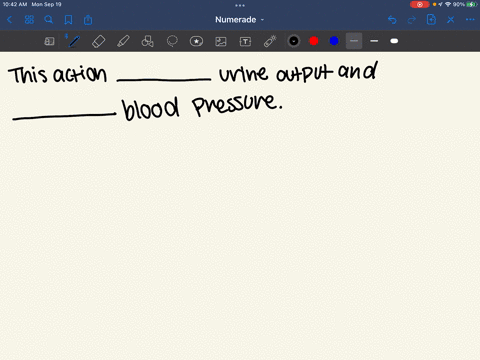atrial-natriuretic-peptide-is-a-hormone-that-will-dialate-the-afferent-arteriole-and-constrict-the-efferent-arteriole-this-action-blank-answer-choices-increases-decreases-urine-output-and-bl-74714