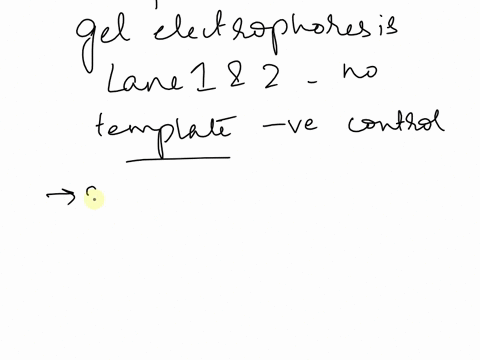 results-5-3-pts-the-photograph-shows-how-zooobp-pcr-products-can-be-analyzed-by-gel-zcoodp-electrophoresis_-lanes-1-and-2-are-no-1500-do-1200-bp-template-negative-controls-in-this-1c00-bp-90-49489