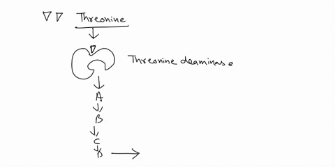 12-imagine-that-the-first-enzyme-1-in-this-pathway-is-regulated-by-isoleucine-which-of-the-following-explains-how-this-regulation-occurs-a-isoleucine-is-competitive-inhibitor-of-enzyme-b-iso-49971