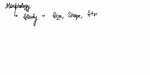 1-what-is-morphology-2-what-is-phylogeny-3-by-what-means-does-the-field-of-systematics-classify-organisms-and-construct-phylogenies-starting-with-domain-what-are-the-other-seven-taxonomic-le-83808