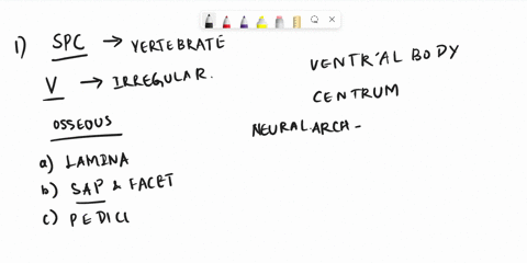 5-identify-the-bone-markings-in-the-photo-ofa-typical-ivertebra-list-whether-the-statement-true-or-false-the-manubrium-is-inferior-to-the-xiphoid-process-are-nor-attached-to-the-vertebral-co-26819
