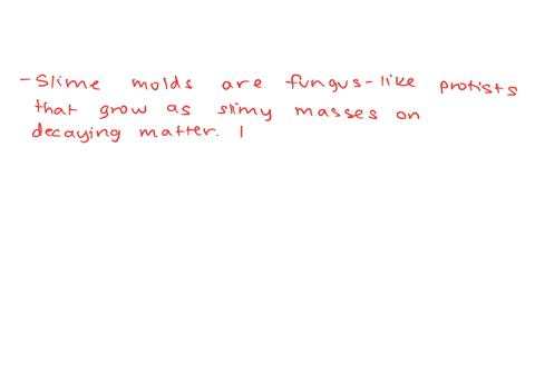 compare-and-contrast-slime-molds-and-water-molds