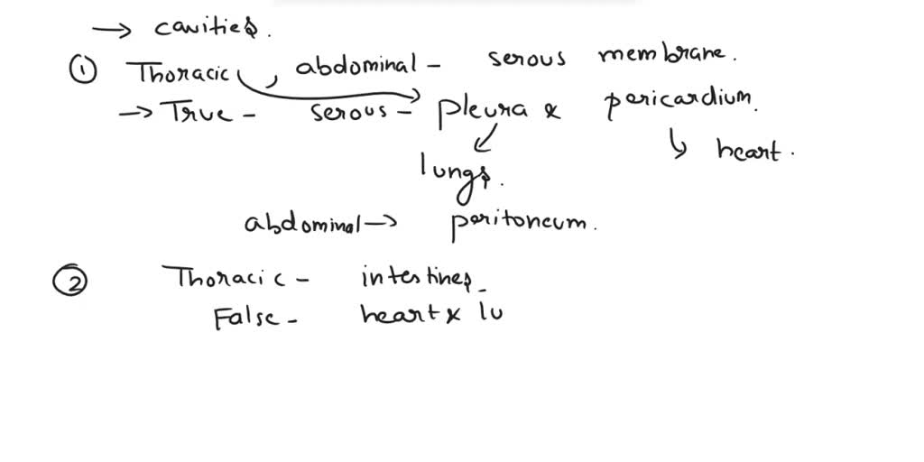 SOLVED: Which of the following body cavities is located within a double ...