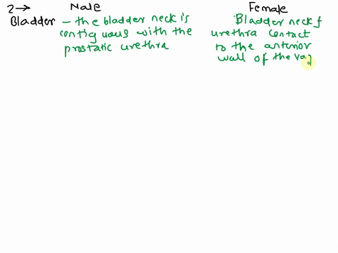 lab-23-urinary-system-mote-handout-intended-help-vou-tocus-the-major-points-covered-jab-but-your-textbooks-you-need-bring-the-following-items-with-you-to-lab-every-replacement-for-lab-attend-82163