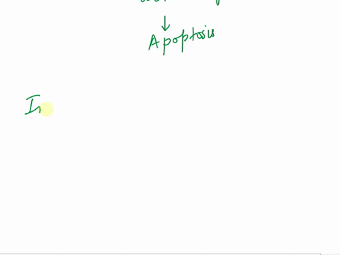 outline-the-key-steps-in-the-extrinsic-and-intrinsic-pathways-of-apoptosis-in-detail-please-thank-you-70025