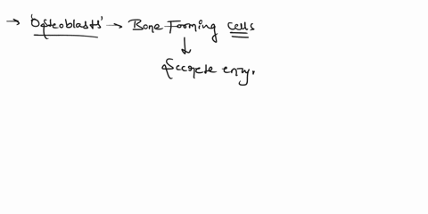 which-of-the-following-functions-corresponds-with-osteoblasts-a-cells-that-deposit-collagen-and-elastin-to-promote-bone-growth-b-double-layer-membrane-that-encloses-bone-c-double-layer-membr-49872