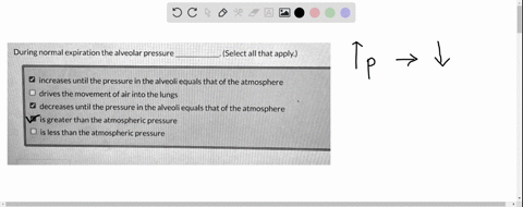 during-normal-expiration-the-alveolar-pressure-select-all-that-apply-increases-until-the-pressure-in-the-alveoli-equals-that-of-the-atmosphere-drives-the-movement-of-air-into-the-lungs-decre-00653