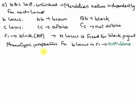 11-albino-rabbits-lacking-pigment-are-homozygous-for-the-recessive-allele-c-allows-pigment-formation-rabbits-homozygous-for-the-recessive-b-allele-make-brown-pigment-while-those-with-at-leas-96013