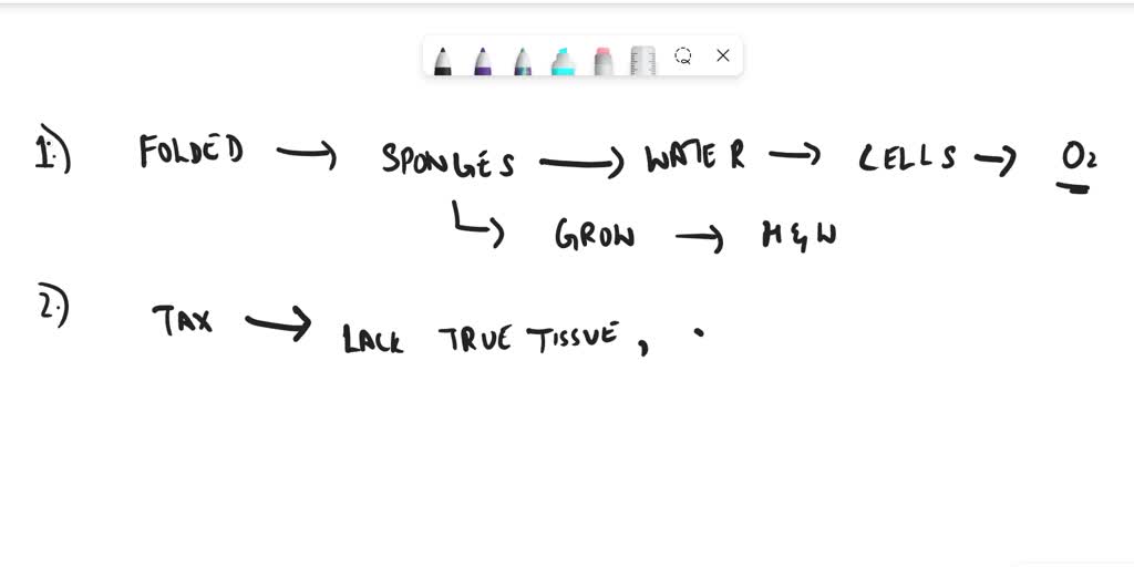 SOLVED 1. What is the advantage of a folded or convoluted body wall in