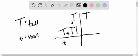 plant-height_dominant-allele-is-t-tall-and-recessive-allele-is-t-short-draw-a-punnett-square-for-if-parent-1-is-homozygous-dominant-for-height-and-parent-2-is-heterozygous-for-height-send-pi-64291