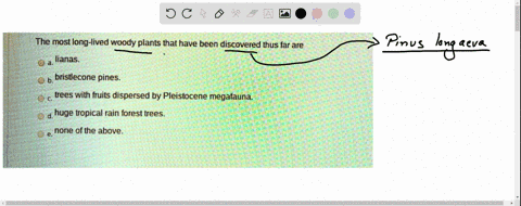 the-most-long-lived-woody-plants-that-have-been-discovered-thus-far-are-lianas-bristlecone-pines_-trees-with-fruits-dispersed-by-pleistocene-megafauna-d-huge-tropical-rain-forest-trees_-none-47011