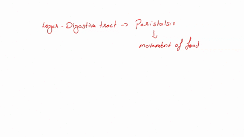 the-layer-in-the-digestive-tract-that-is-responsible-for-peristalsis-is-called-the-select-one-a-lumen-b-serosa-submucosa-d-muscularis-externa-72408