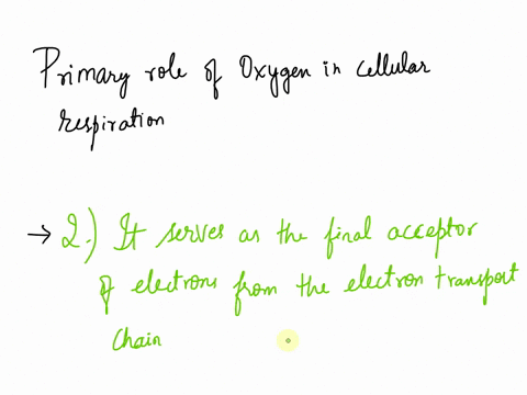 which-of-the-following-statements-best-describes-the-primary-role-played-by-oxygen-in-cellular-respiration-1it-serves-as-an-acceptor-for-carbon-forming-co2-in-the-citric-acid-cycle-2it-serve-89803