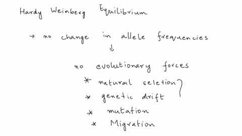 assume-that-there-is-a-population-where-the-allele-changes-between-generations-is-large-which-of-the-following-is-not-likely-to-explain-the-large-evolutionary-changes-a-non-random-mating-b-m-71645