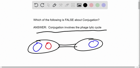 which-of-the-following-is-false-about-conjugation-conjugation-can-lead-to-the-development-of-antibiotic-resistance-in-bacteria-conjugation-involves-uptake-of-naked-dna-conjugation-process-re-91765