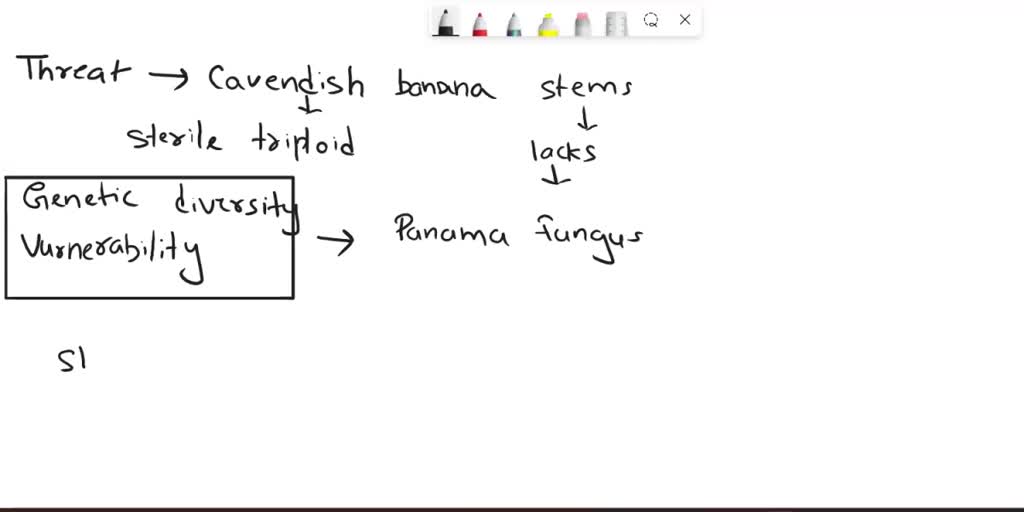 SOLVED Modern bananas originated from a cross between a tetraploid banana species and a diploid