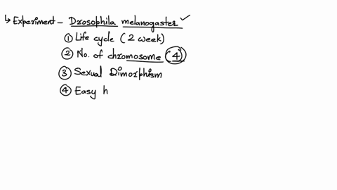design-an-experiment-what-would-be-a-good-idea-to-conduct-a-genetics-experiment-on-drosophila-melanogaster-on-gene-expression-body-structure-etc-question-hypostesis-and-experiments-98056
