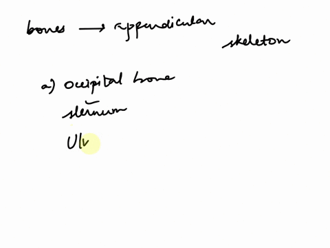 which-of-the-following-bones-is-part-of-the-appendicular-skeleton-a-occipital-bone-b-sternum-c-ulna-d-maxilla-49924