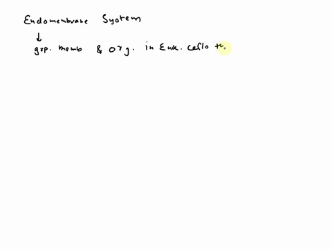 organelles-that-make-up-the-endomembrane-system-include-er-golgi-mitochondria-and-peroxisomes-er-golgi-lysosomes-and-endosomes-er-nucleus-lysosomes-chloroplasts-golgi-nucleus-lysosomes-and-c-70482