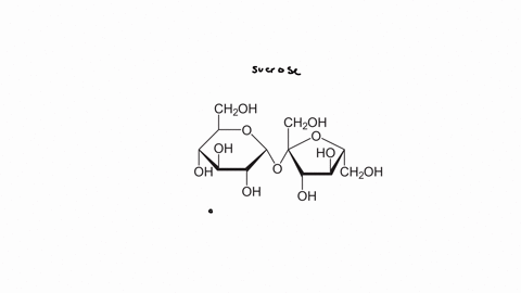 what-type-of-linkage-bonds-monosaceharides-together-to-lorm-dicaccharides-and-polysaccharides-a-anomeric-b-gycosidic-c-ester-d-ether-e-tydrogen-bond