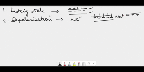 explain-how-action-potentials-move-down-an-axon-24474