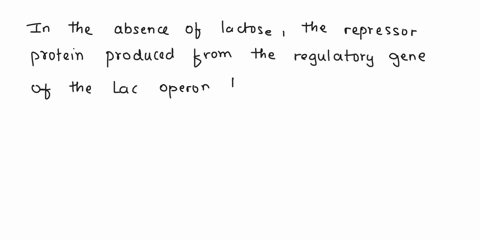active-repressor-protein-produced-from-the-regulatory-gene-of-lac-operon-bindes-the-operator-to-stimulate-the-binding-of-rna-polymerase-to-the-promoter-of-the-genes-coding-the-lactose-enzyme-29864