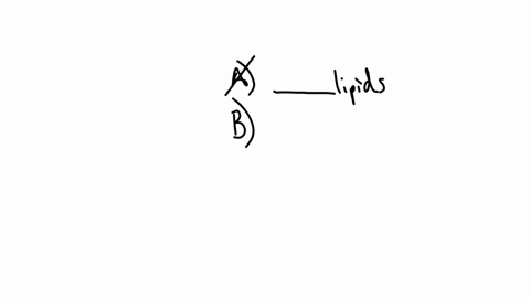 which-of-the-following-is-not-a-type-of-lipid-a-phospholipids-b-triacylglycerides-c-enzymes-d-steroids-e-unsaturated-fatty-acids