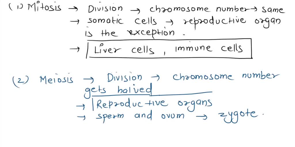 SOLVED Which cells of your body are the product of mitosis? Which are