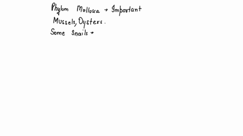 question-1-0-pts-the-phylum-mollusca-contains-many-well-known-and-economically-important-animals-mussels-clams-and-oysters-provide-food-and-some-provide-valuable-pearls_-other-can-be-invasiv-03744