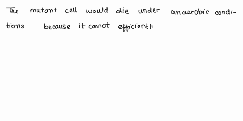 you-have-discovered-a-mutant-cell-whose-glycolytic-pathway-is-shorter-because-of-a-new-enzyme-catalyzing-the-reaction-nad-nadh-h-glyceraldehyde-3-phosphate-hzo-3-phosphoglycerate-please-expl-69597