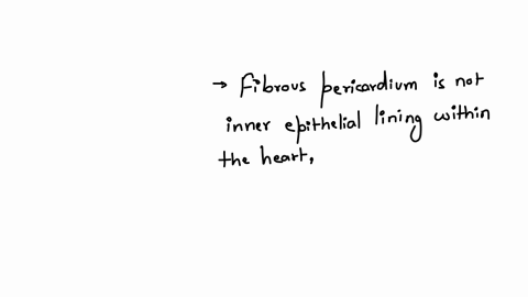 which-statement-accurately-describes-the-fibrous-pericordium-inner-epithelial-lining-within-the-heart-inner-layer-of-the-pericardial-sac-which-produces-the-pericardial-fluids-serous-membrane-attached
