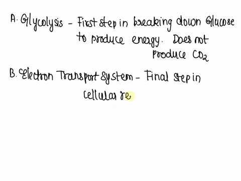 the-majority-of-the-carbon-dioxide-we-exhale-is-produced-in-glycolysis_-the-electron-transport-system-c-lactate-fermentation-the-citric-acid-cycle-e-the-calvin-cycle-12673