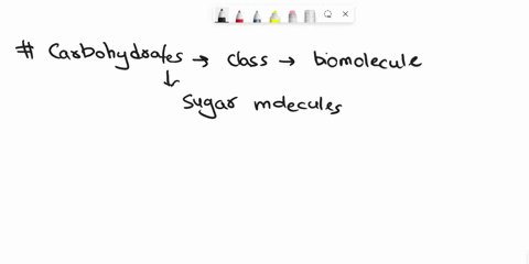 a-glucose-molecule-is-to-carbohydrates-as-a-___-is-to-nucleic-acids-00492