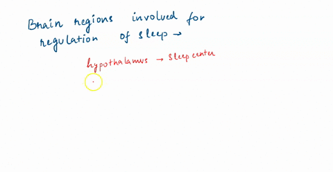 what-brain-regions-and-neurochemical-systems-are-known-to-be-involved-in-the-regulation-of-sleep-what-is-known-about-the-neurobiology-and-endocrinology-of-circadian-rhythms-biopsychology-325-76118