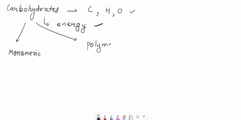 what-is-the-monomeric-form-and-the-polymer-form-for-carbohydrates-00177